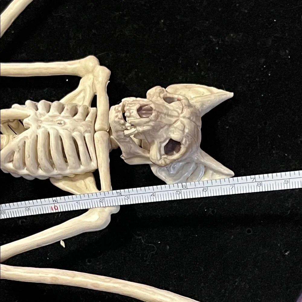 Natural Bat Skeleton Reptile Decor - Cream